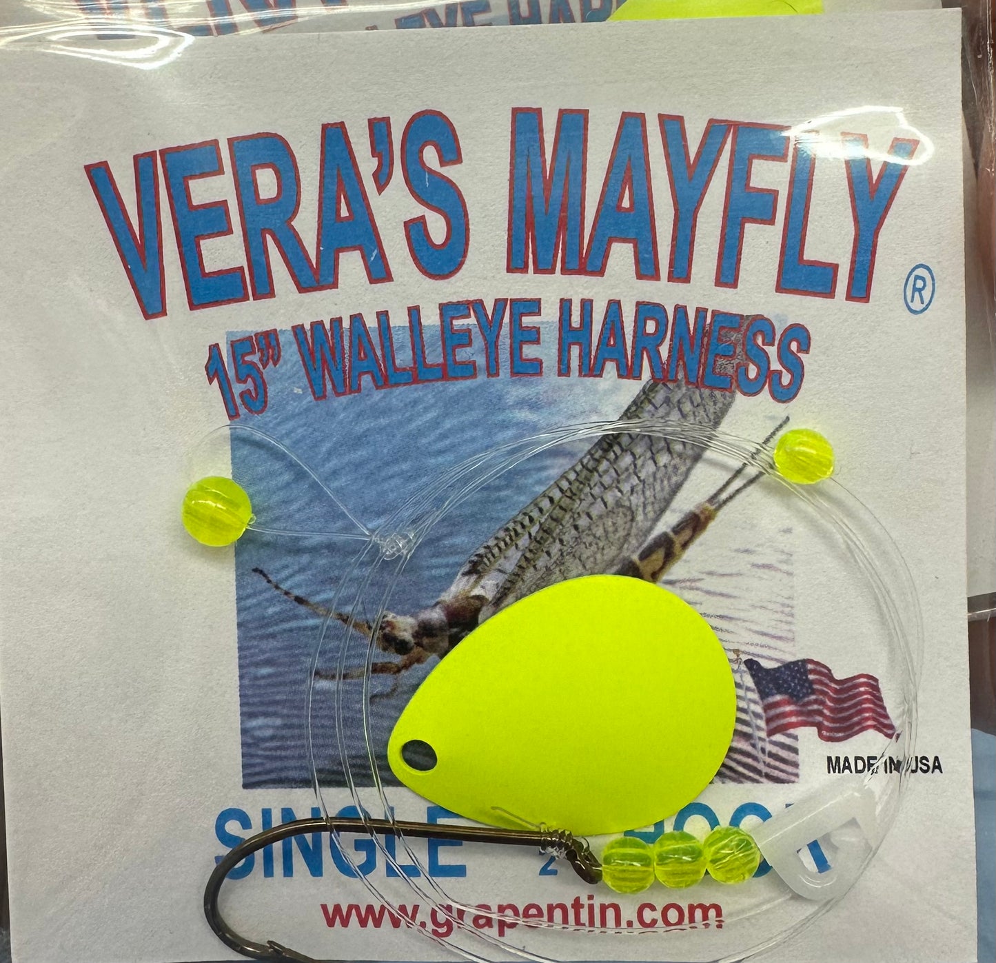 Vera's Mayfly