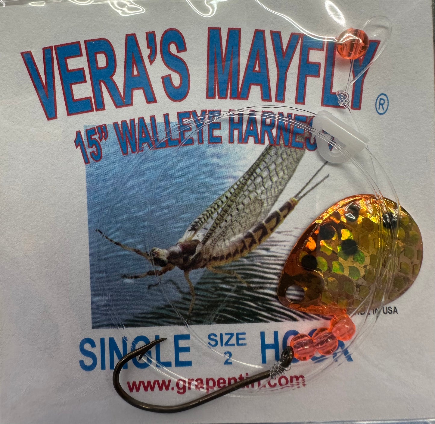 Vera's Mayfly