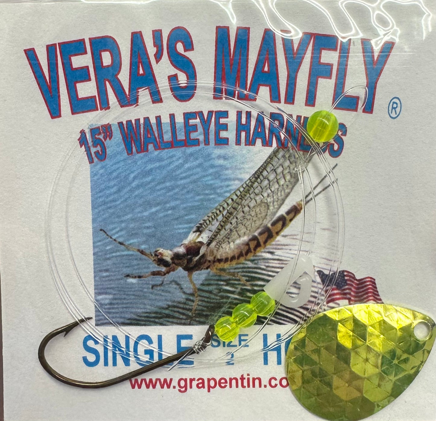 Vera's Mayfly